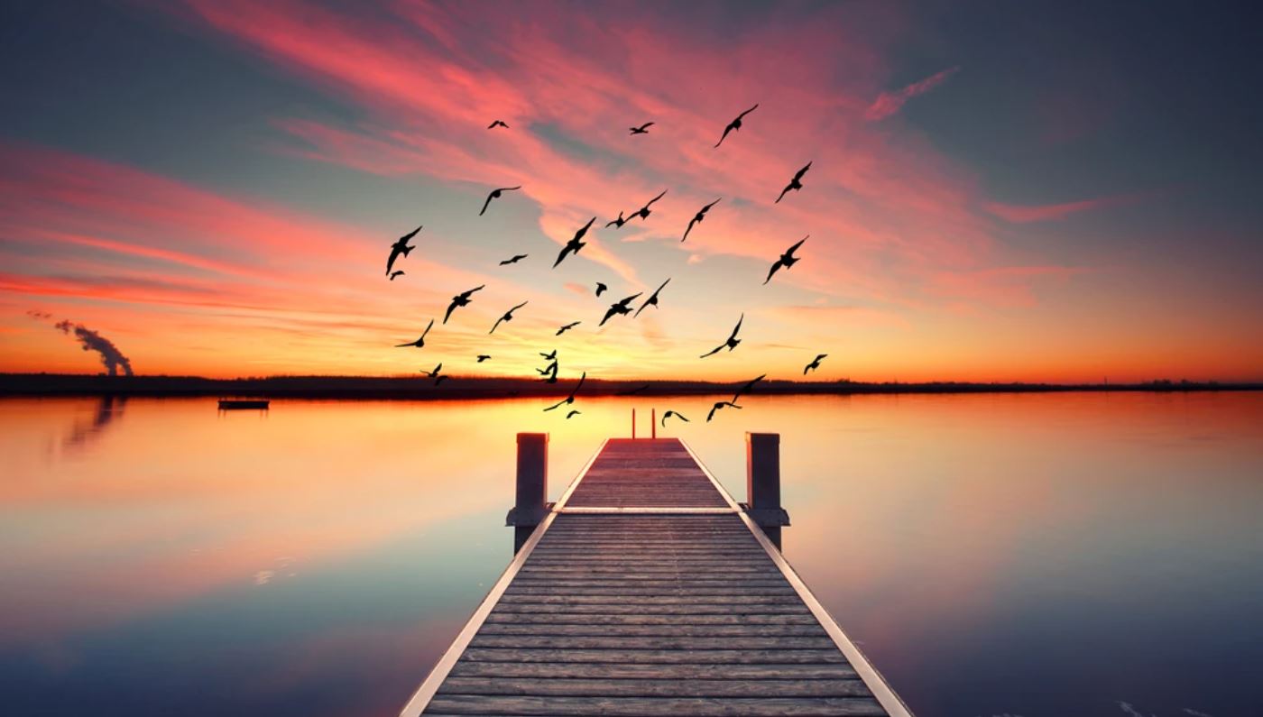 Wallpaper Murals Peel and Stick Removable Wooden Pier Over Beach at Sunset with Flying Birds Photograph High Quality