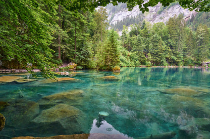 Lake & Forest Scenery Photograph Home Decor Premium Quality Poster Print Choose Your Sizes