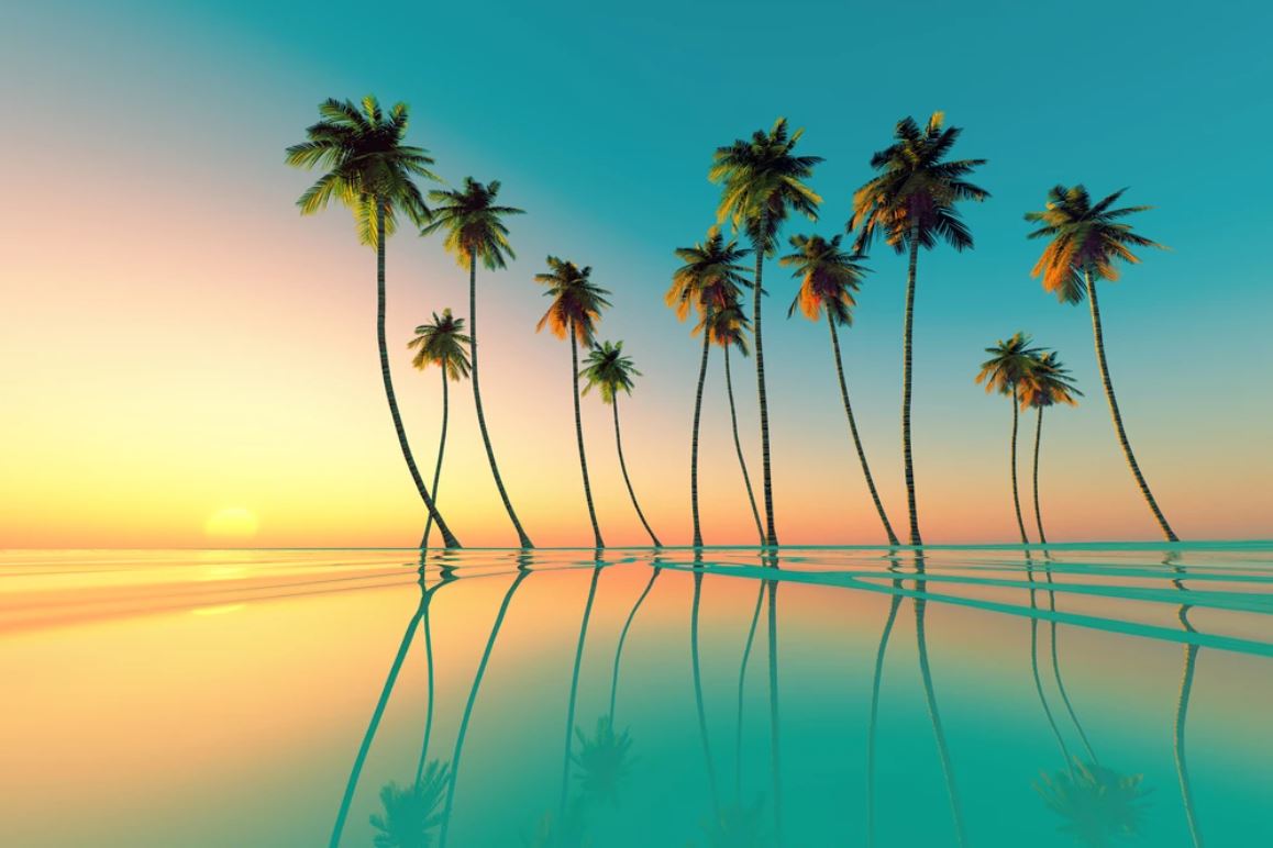 Wallpaper Murals Peel and Stick Removable Palm Tree with Beach & Pool View High Quality