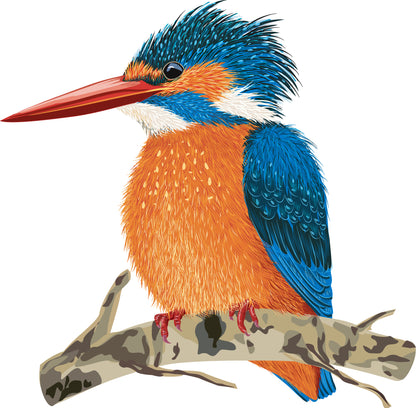 Kingfisher Vector Print 100% Australian Made