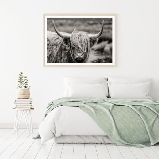 Highland Cow B&W Photograph Home Decor Premium Quality Poster Print Choose Your Sizes