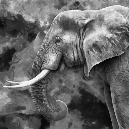 Square Canvas B&W Elephant Painting High Quality Print 100% Australian Made