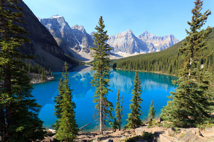 Beautiful Lake with Trees Print 100% Australian Made