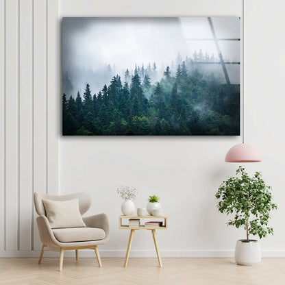 Misty Forest Photograph Acrylic Glass Print Tempered Glass Wall Art 100% Made in Australia Ready to Hang