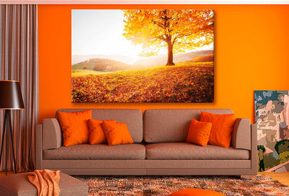 Bella Home The Shiny Beech Tree on a Hill Slope Print Canvas Ready to hang