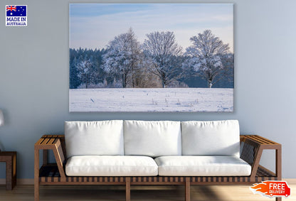 Snow Covered Trees & Snow Field Photograph Print 100% Australian Made