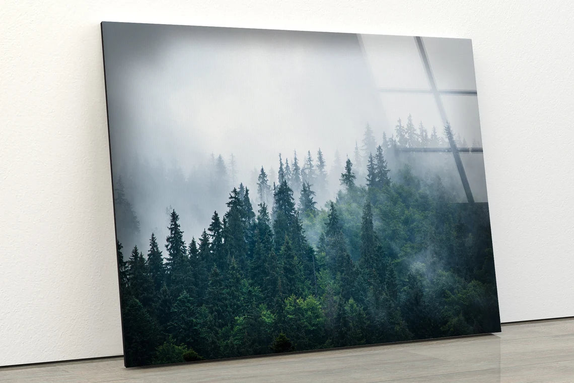 Misty Forest Photograph Acrylic Glass Print Tempered Glass Wall Art 100% Made in Australia Ready to Hang