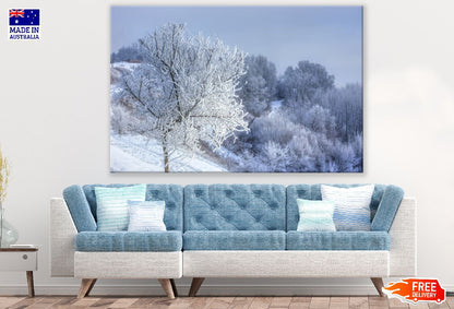 Snow Covered Tree Closeup Photograph Print 100% Australian Made