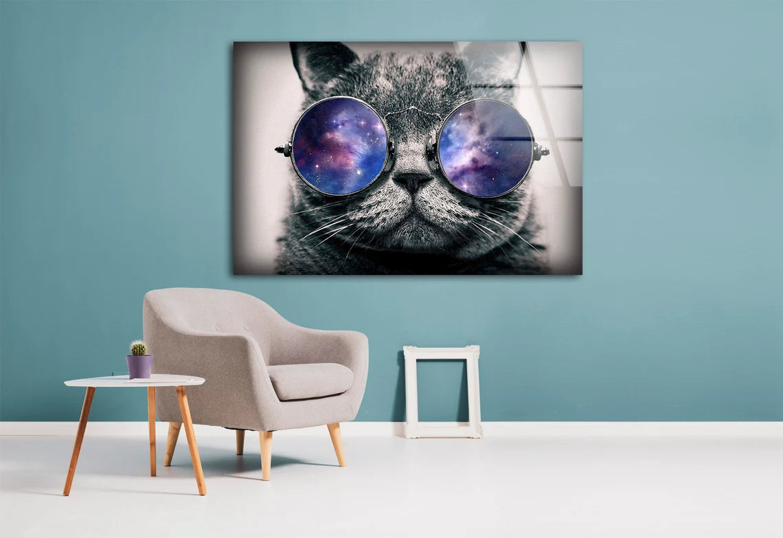 Cat with Sunglasses Photograph Acrylic Glass Print Tempered Glass Wall Art 100% Made in Australia Ready to Hang