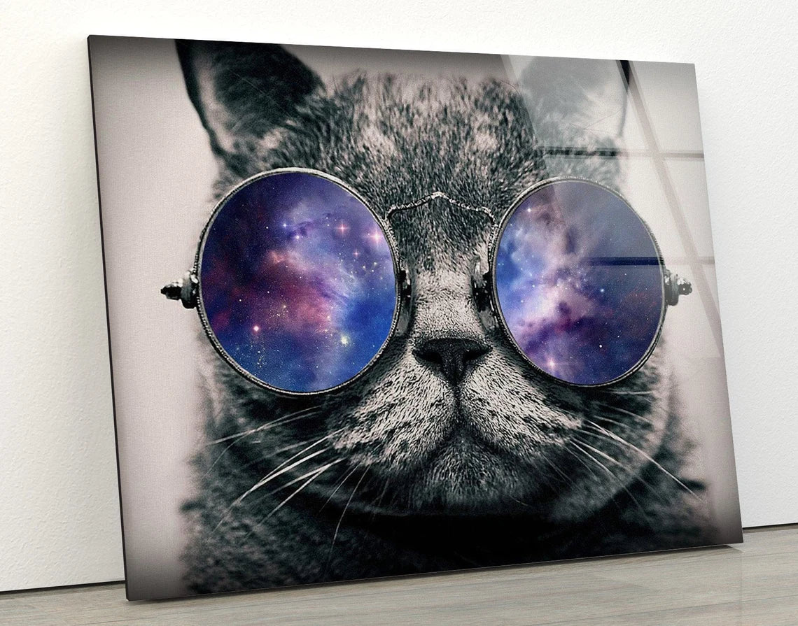 Cat with Sunglasses Photograph Acrylic Glass Print Tempered Glass Wall Art 100% Made in Australia Ready to Hang