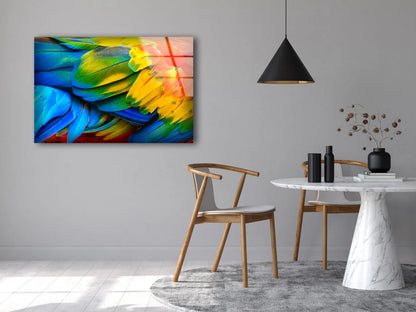 Colorful Feathers Closeup Photograph Acrylic Glass Print Tempered Glass Wall Art 100% Made in Australia Ready to Hang