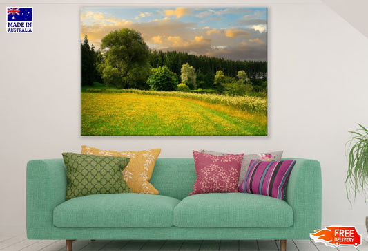 Trees on Flower Field Scenery Photograph Print 100% Australian Made