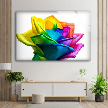 Multicolor Rose Flower Photograph Acrylic Glass Print Tempered Glass Wall Art 100% Made in Australia Ready to Hang