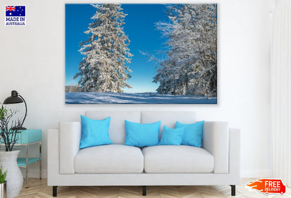 Snow Covered Large Trees Photograph Print 100% Australian Made