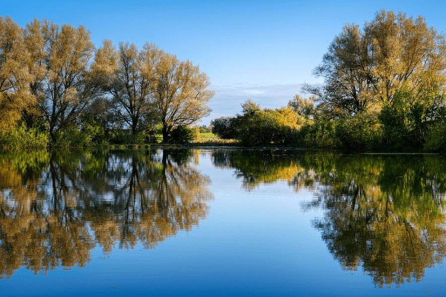 Trees & Lake Scenery Photograph Print 100% Australian Made