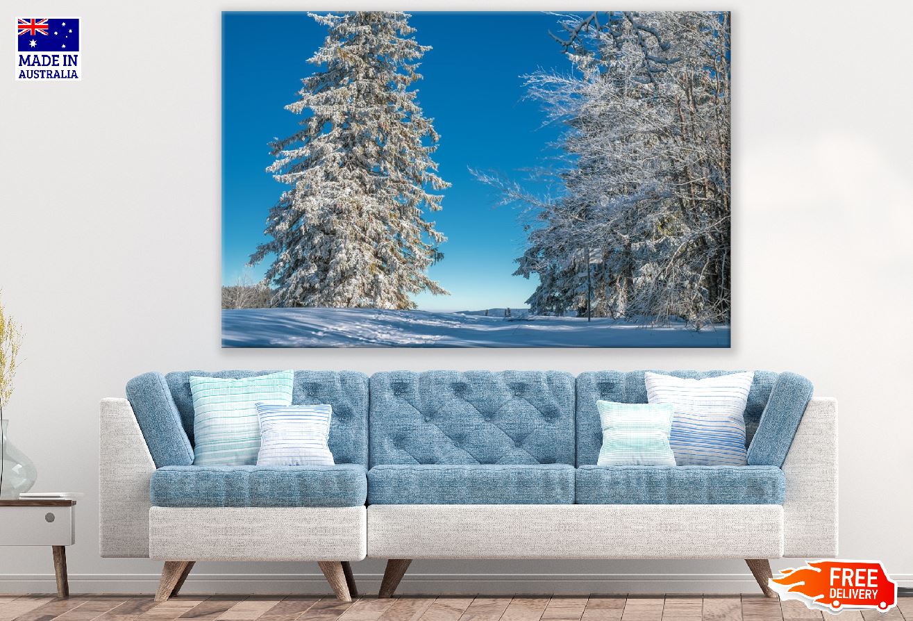 Snow Covered Large Trees Photograph Print 100% Australian Made