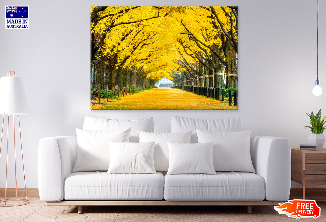 Yellow Flower Trees & Road Photograph Print 100% Australian Made