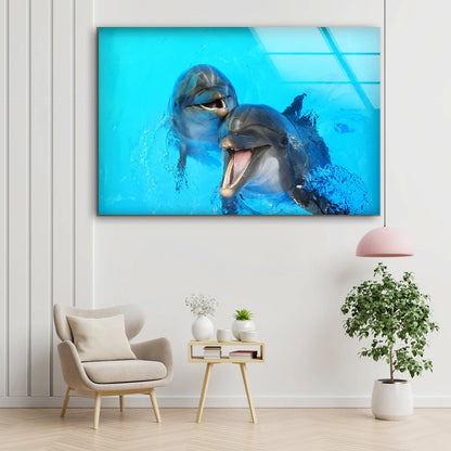 Dolphins in Water Photograph Acrylic Glass Print Tempered Glass Wall Art 100% Made in Australia Ready to Hang