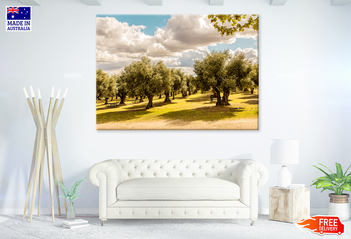 Nature Tree & Sky View Photograph Print 100% Australian Made