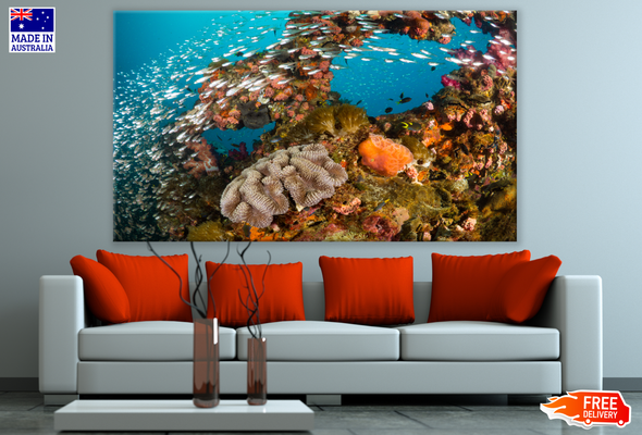 Underwater Fish & Corals Photograph Print 100% Australian Made