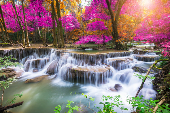 Stunning Water Stream In Forest Rose Flower Trees Photograph Print 100% Australian Made