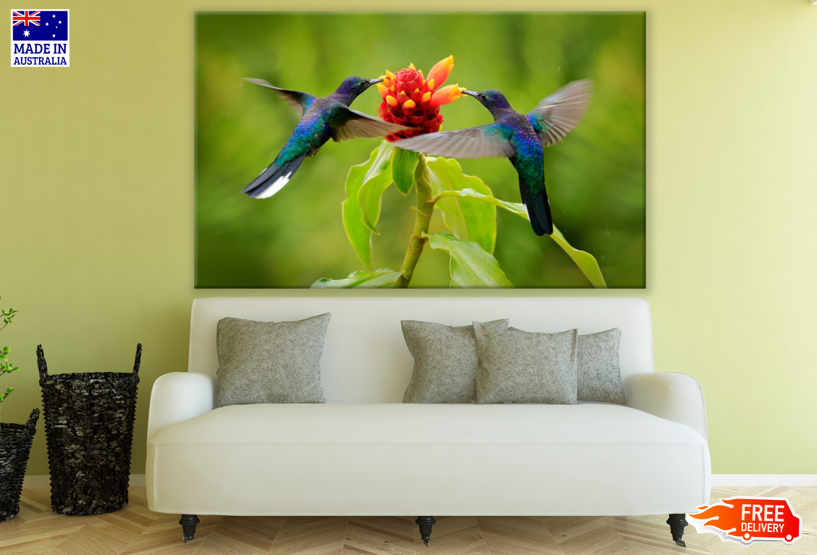 Humming Birds Flying Near Flowers Print 100% Australian Made