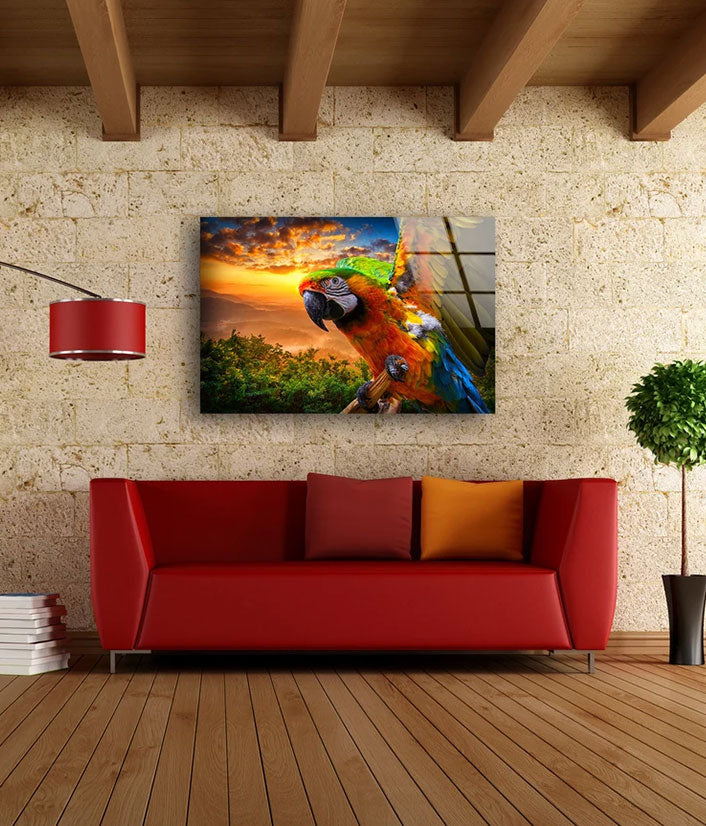 Macaw Parrot Bird Sunset View Photograph Acrylic Glass Print Tempered Glass Wall Art 100% Made in Australia Ready to Hang