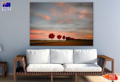 Red Maple Trees & Road Scenery Photograph Print 100% Australian Made