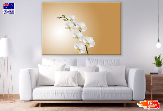 White Orchids Flowers Photograph Print 100% Australian Made