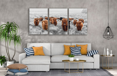 3 Set of Highland Cow Herd on Meadow Photograph High Quality Print 100% Australian Made Wall Canvas Ready to Hang