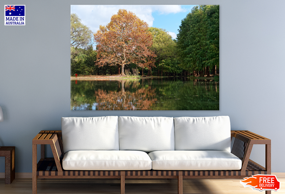 Trees & Lake View Photograph Print 100% Australian Made