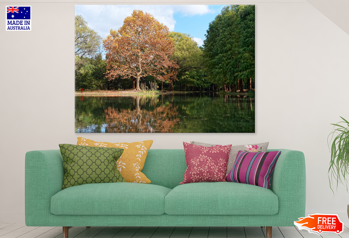 Trees & Lake View Photograph Print 100% Australian Made