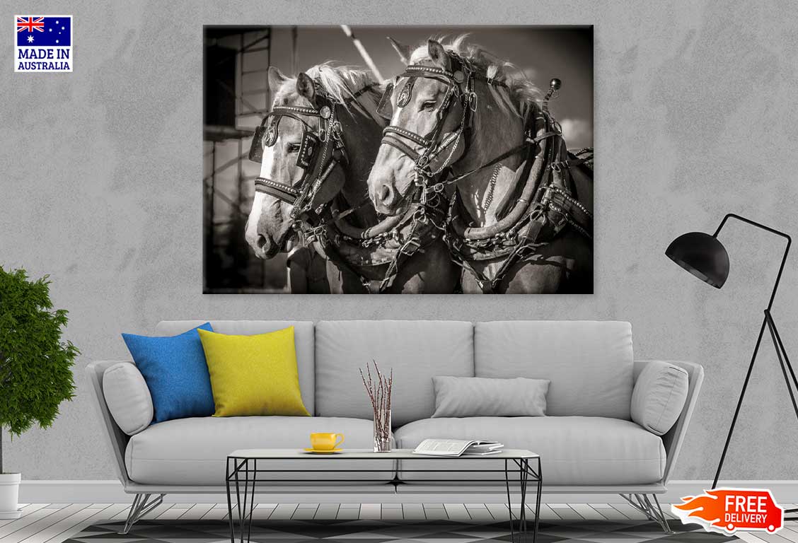 Draft Horses B&W View Photograph Print 100% Australian Made