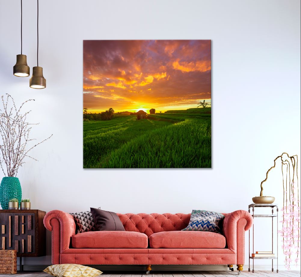 Square Canvas Rice Fields at Sunset Scenery View Photograph High Quality Print 100% Australian Made