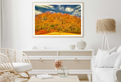 Orange Fall Forest & Cloudy Sky Photograph Home Decor Premium Quality Poster Print Choose Your Sizes