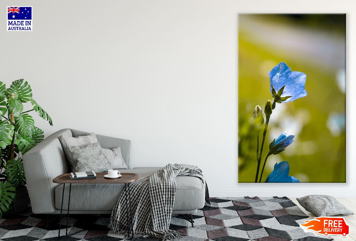 Blue Bellflower Closeup Photograph Print 100% Australian Made