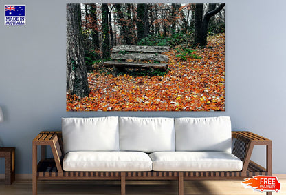 Wood Bench in Autumn Forest Print 100% Australian Made