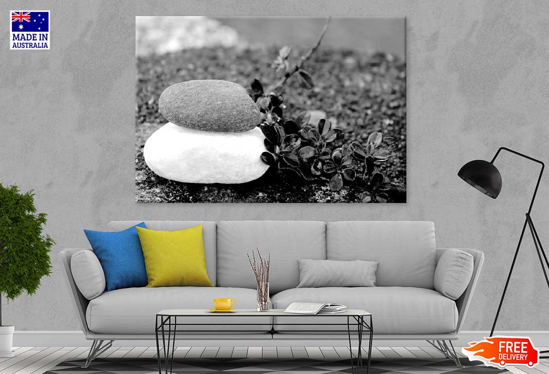 White Stones & Black Flowers B&W View Photograph Print 100% Australian Made