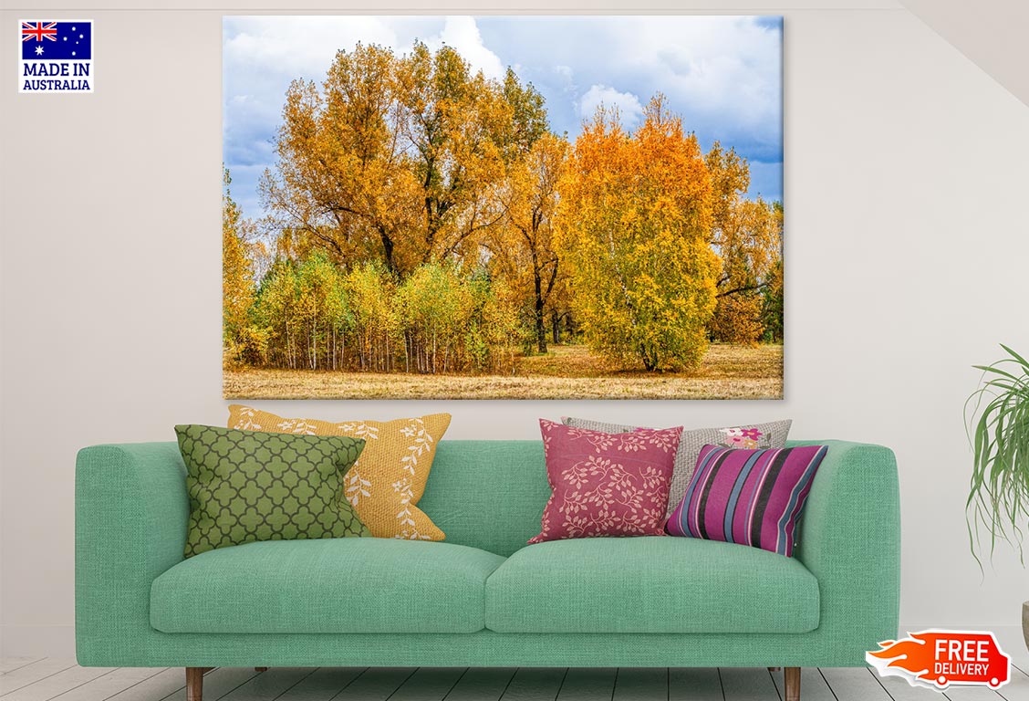 Autumn Forest Photograph Print 100% Australian Made