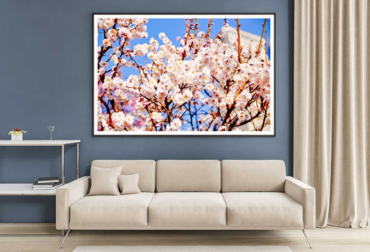 White Pink Cherry Flower Branch Photograph Home Decor Premium Quality Poster Print Choose Your Sizes