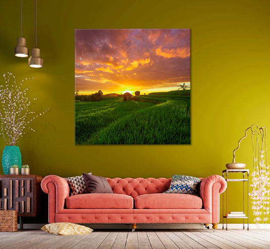 Square Canvas Rice Fields at Sunset Scenery View Photograph High Quality Print 100% Australian Made