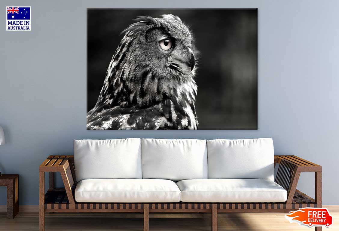 Owl Face Side View B&W Photograph Print 100% Australian Made