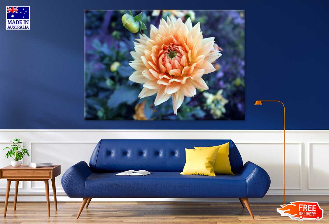 White Orange Dahlia Closeup View Photograph Print 100% Australian Made