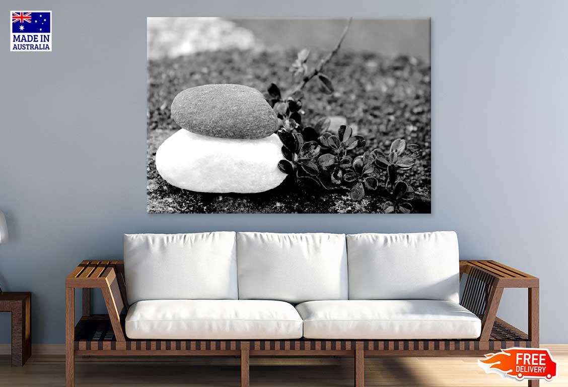 White Stones & Black Flowers B&W View Photograph Print 100% Australian Made