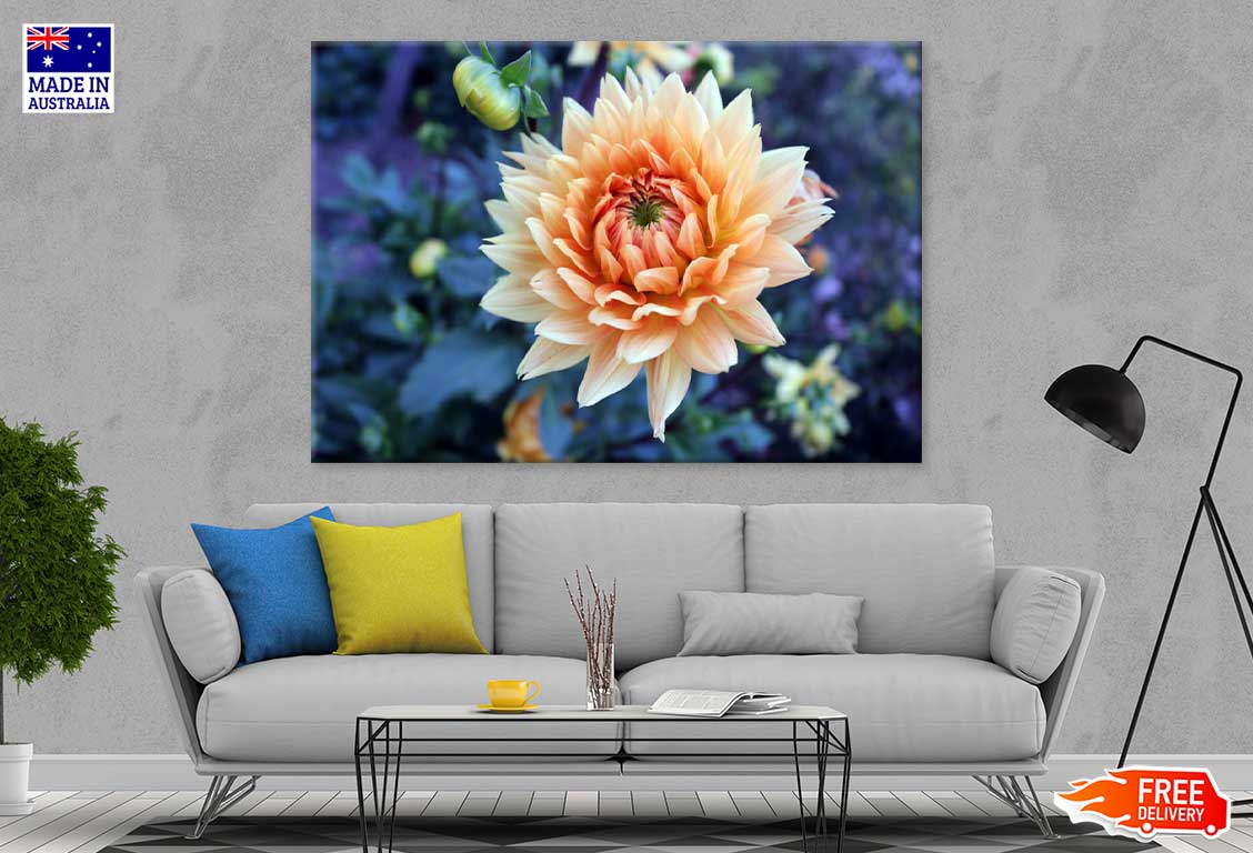 White Orange Dahlia Closeup View Photograph Print 100% Australian Made