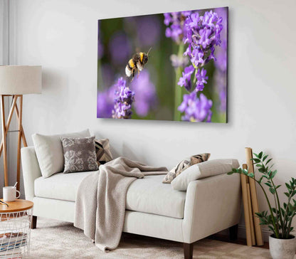 Bella Home Bumble Bee Flying & Purple Flower Print Canvas Ready to hang