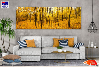 Panoramic Canvas Yellow Autumn Trees View Photograph High Quality 100% Australian Made Wall Canvas Print Ready to Hang