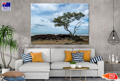 Alone Tree on Sea Shore View Photograph Print 100% Australian Made