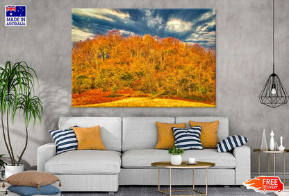 Orange Fall Forest & Cloudy Sky View Photograph Print 100% Australian Made