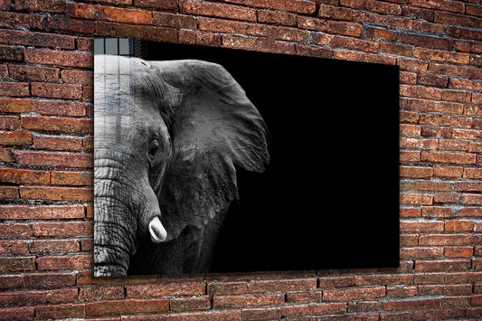 Half Face Elephant B&W Print Tempered Glass Wall Art 100% Made in Australia Ready to Hang